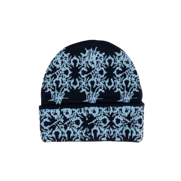 Spider Beanies