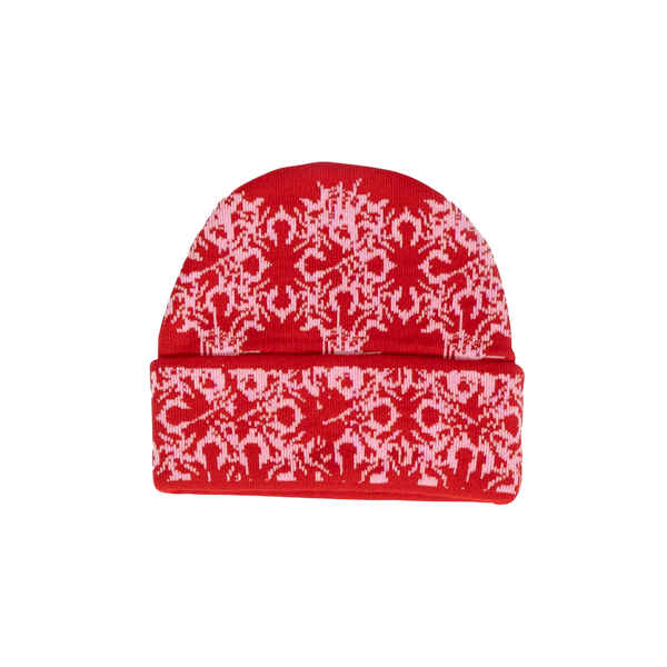 Spider Beanies